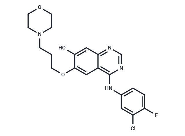 O-去甲基吉非替尼,O-Desmethyl gefitinib