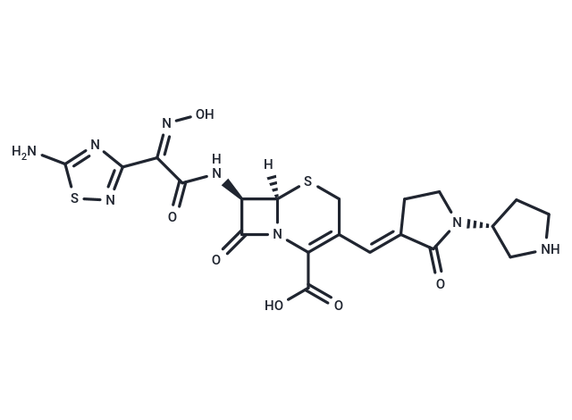 頭孢吡普,Ceftobiprole