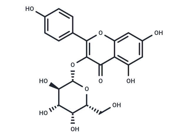三葉豆苷,Kaempferol 3-O-β-D-galactopyranoside