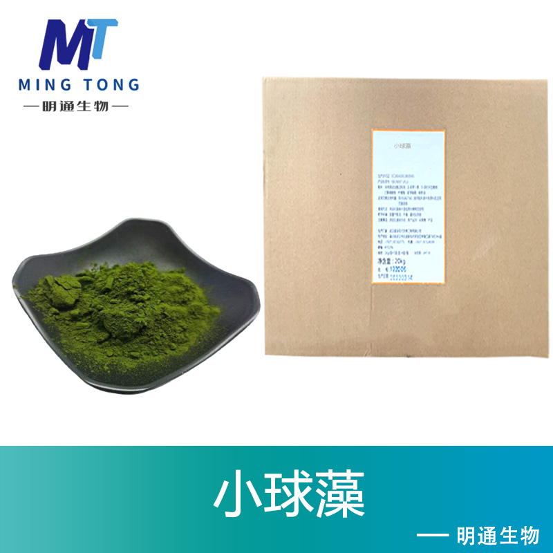 小球藻,CHLORELLA