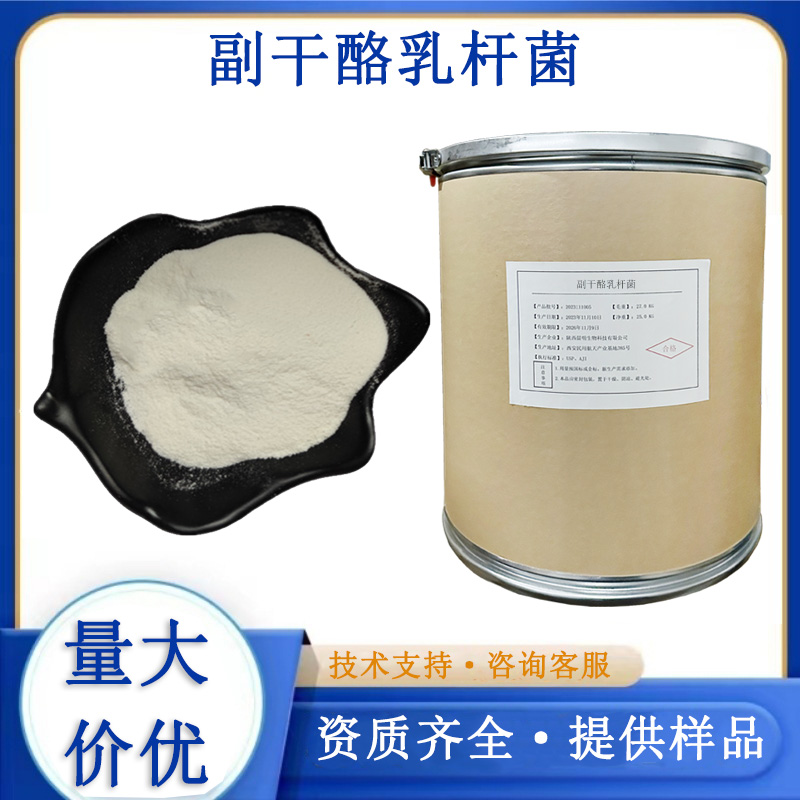副干酪乳杆菌,Lactobacillus paracasei