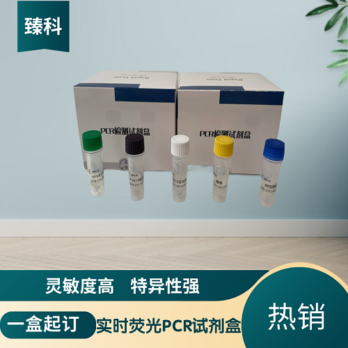 猪肺炎支原体(MHP)核酸试剂盒(荧光-PCR法),MHP