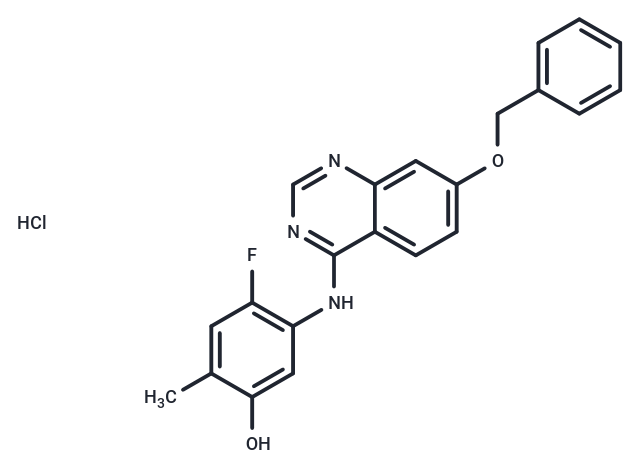化合物 ZM 323881 hydrochloride,ZM323881 hydrochloride