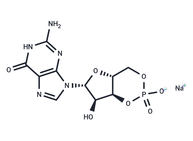 鸟苷-3',5'-环磷酸一钠盐,GUANOSINE 3':5'-CYCLIC MONOPHOSPHATE SOD