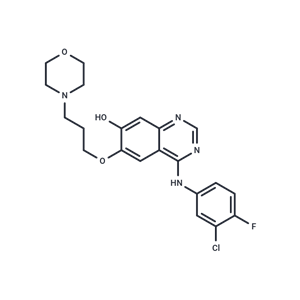 O-去甲基吉非替尼,O-Desmethyl gefitinib