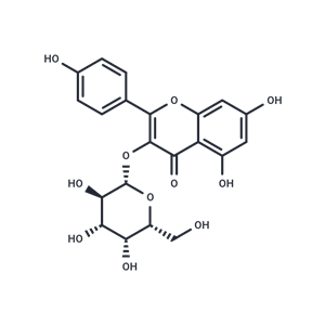 三葉豆苷,Kaempferol 3-O-β-D-galactopyranoside