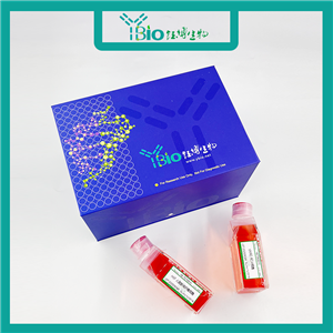 WISH（人羊膜细胞）YB-71244HC,WISH