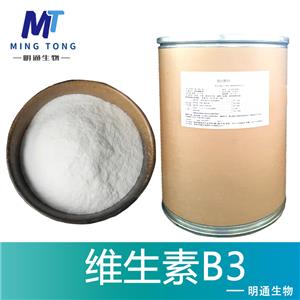 维生素B3厂家