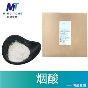 煙酸廠家