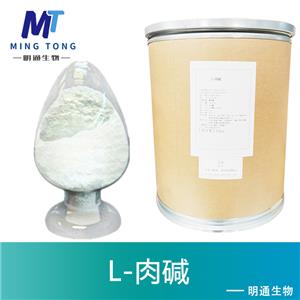 L-肉碱厂家