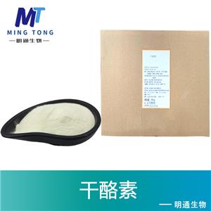 干酪素厂家