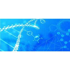 糖化血红蛋白HbA1c抗体