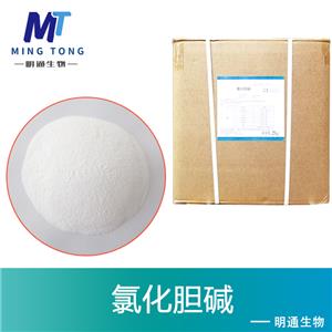 氯化膽堿廠家