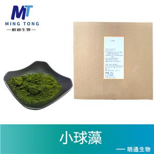 小球藻,CHLORELLA