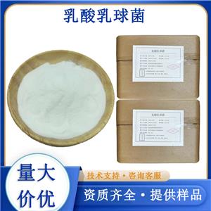 乳酸乳球菌厂家
