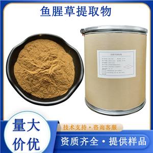 鱼腥草提取物厂家