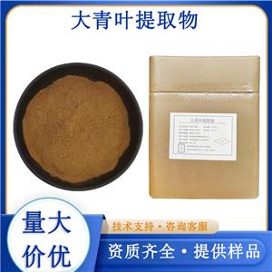 大青叶提取物厂家