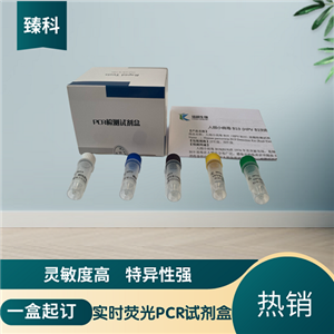 弓形虫(TOX)核酸检测试剂盒