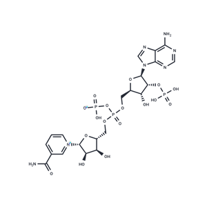 化合物 NADP|T4448|TargetMol