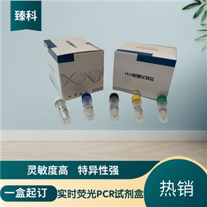 传染性胸膜肺炎放线杆菌(APP)核酸试剂盒(荧光-PCR法)
