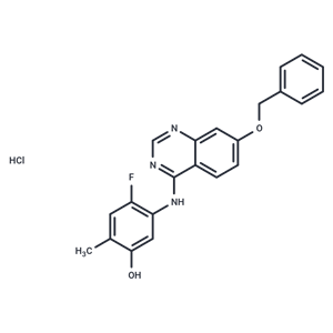 化合物 ZM 323881 hydrochloride|T1991|TargetMol