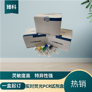 猪劳森氏胞内菌(LI)核酸检测试剂盒(荧光-PCR法)