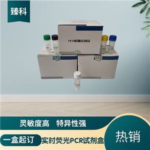 口蹄疫病毒通用型(FMDV-U)核酸检测试剂盒(荧光-PCR法)
