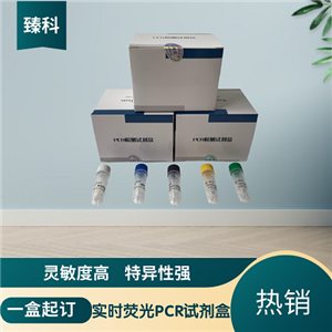 口蹄疫病毒通用型(FMDV-U)核酸检测试剂盒(荧光-PCR法)