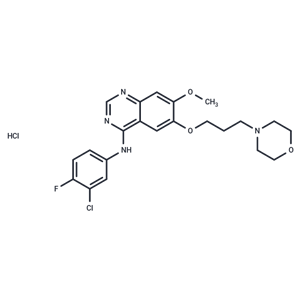 化合物 Gefitinib hydrochloride|T1181L|TargetMol