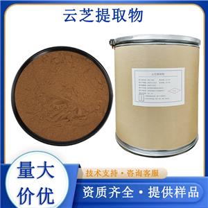 云芝提取物厂家