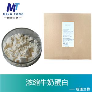 浓缩牛奶蛋白厂家
