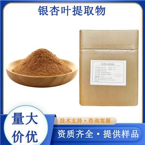 银杏叶提取物厂家