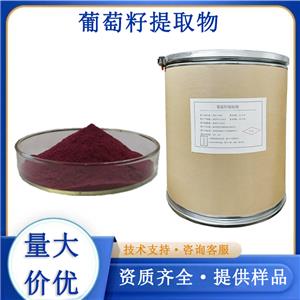 葡萄籽提取物厂家
