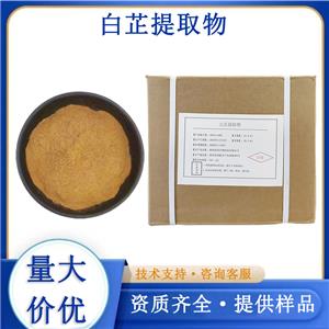 白芷提取物厂家