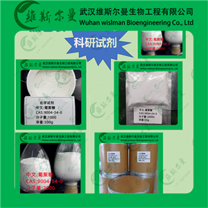 葡聚糖1000分子量,Dextran