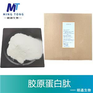 胶原蛋白肽厂家 