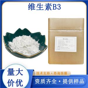 维生素B3生产厂家