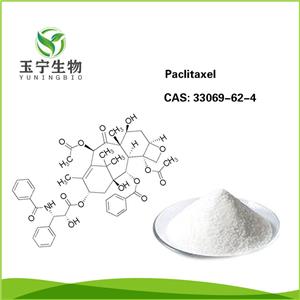 紫杉醇,Paclitaxel