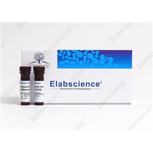 Elabscience Annexin V-PE 染色液-E-CK-A115