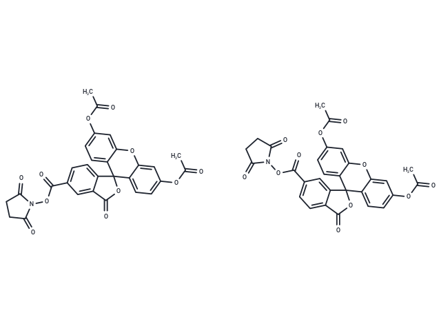 5(6)-羧基二乙酸荧光素琥珀酰亚胺酯,CFSE