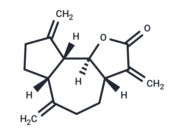 去氢木香烃内酯,Dehydrocostus Lactone