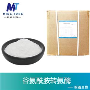 谷氨酰胺转氨酶厂家