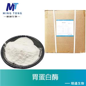 胃蛋白酶厂家