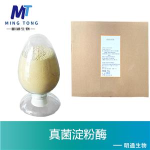 真菌淀粉酶厂家