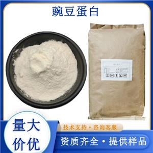 豌豆蛋白生产厂家