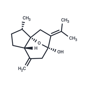 異莪術(shù)醇,Isocurcumenol
