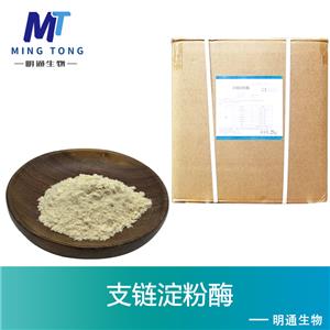 支链淀粉酶厂家