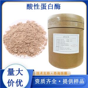 酸性蛋白酶,PROTEASE