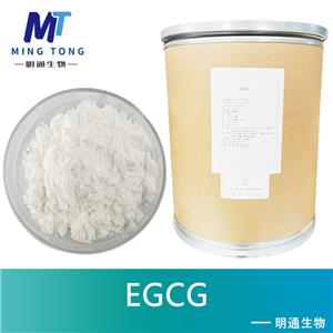EGCG,(-)-Epigallocatechin gallate