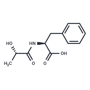 化合物N-Lactoyl-Phenylalanine|T74862|TargetMol